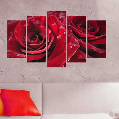 Hanah Home Vícedílný obraz Rojo Manto 110x60 cm