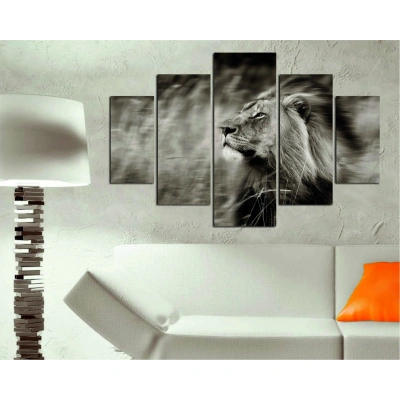 Wallity Vícedílný obraz RUNNING LION 205 92 x 56 cm